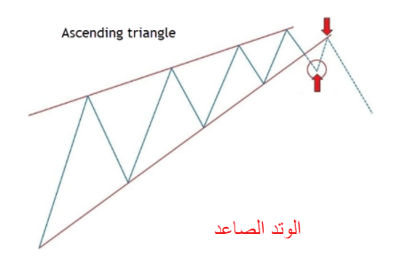 الوتد الصاعد